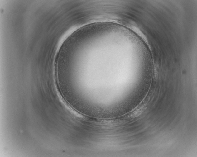 X0000071961096200607071446