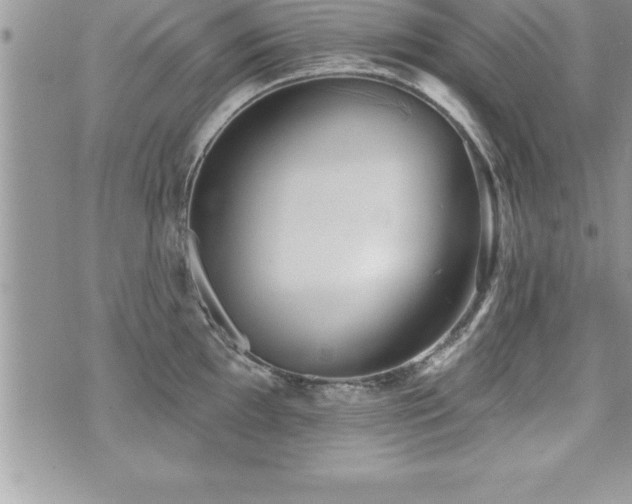 X0000071961097200607071446