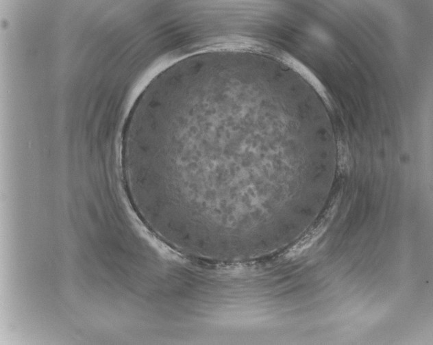 X0000071961099200607071446