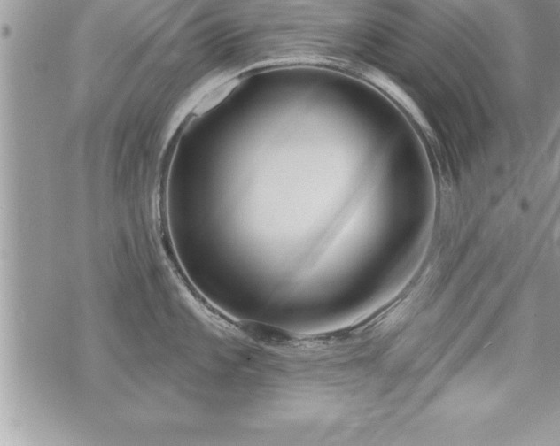 X0000071961101200607071446