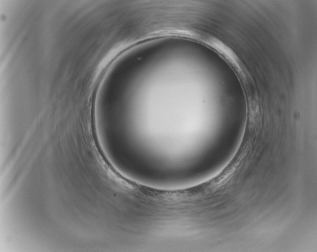 X0000071961102200607071446