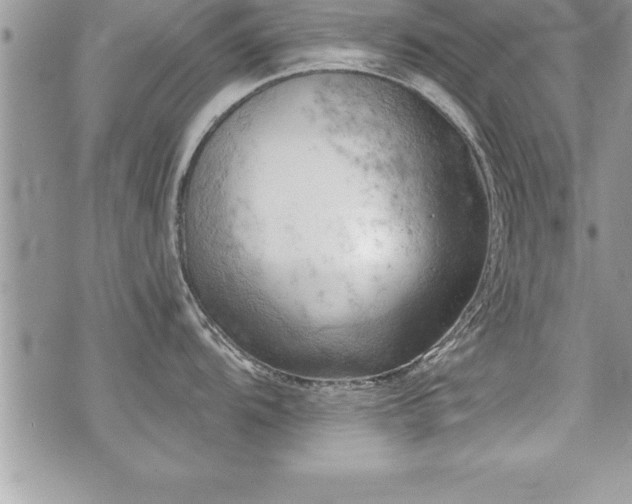 X0000071961104200607071446