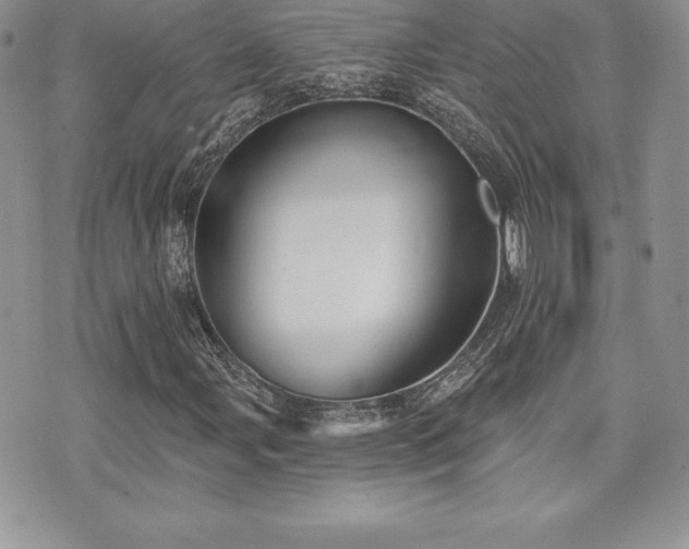 X0000071961107200607071445