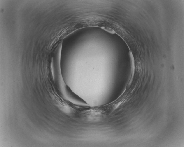 X0000071961108200607071445