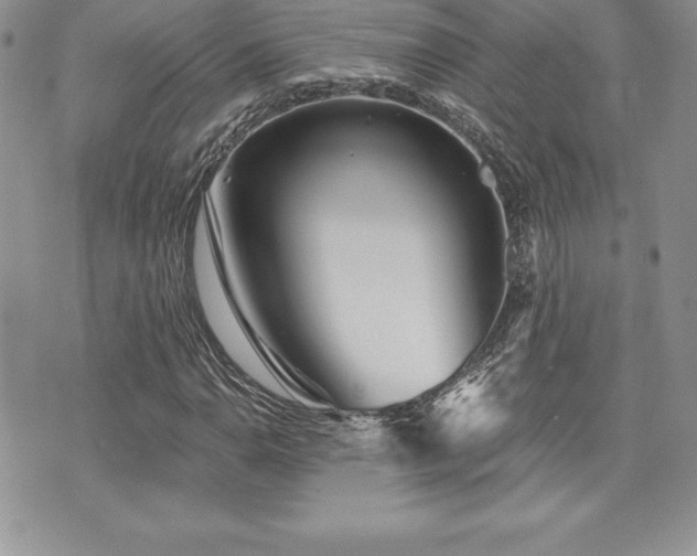 X0000071961110200607071445