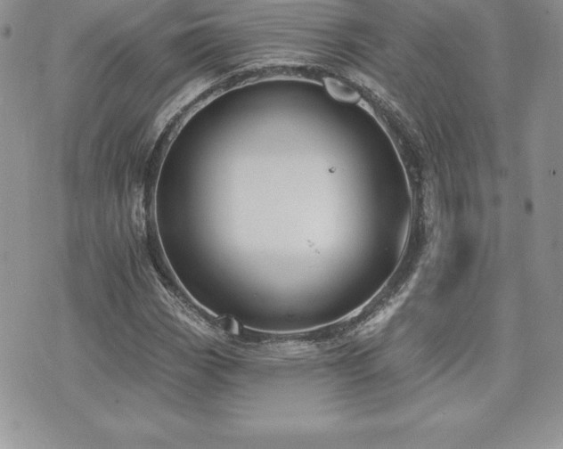 X0000071961113200607071446