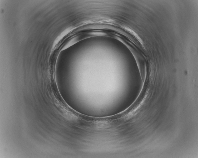 X0000071961114200607071446