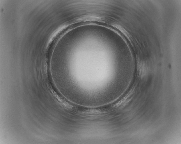 X0000071961115200607071446