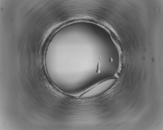 X0000071961116200607071446