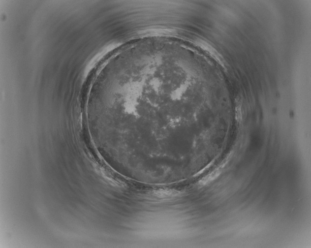 X0000071961117200607071446