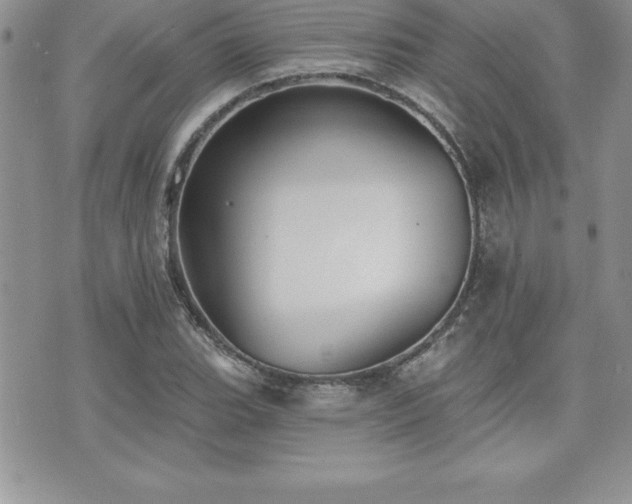 X0000071961119200607071446