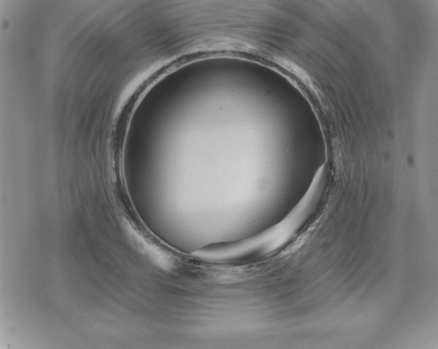X0000071961120200607071446