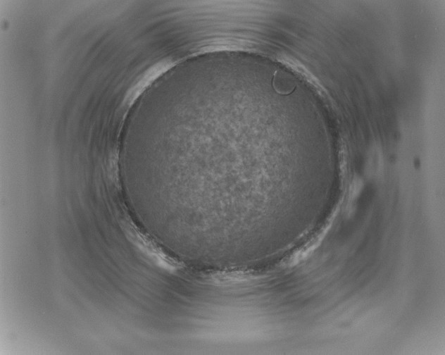 X0000071961121200607071446