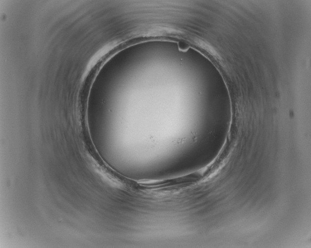 X0000071961122200607071446