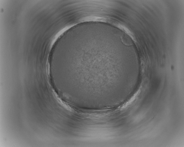 X0000071961125200607071446