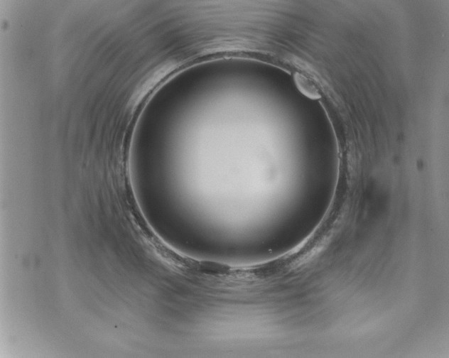 X0000071961129200607071446