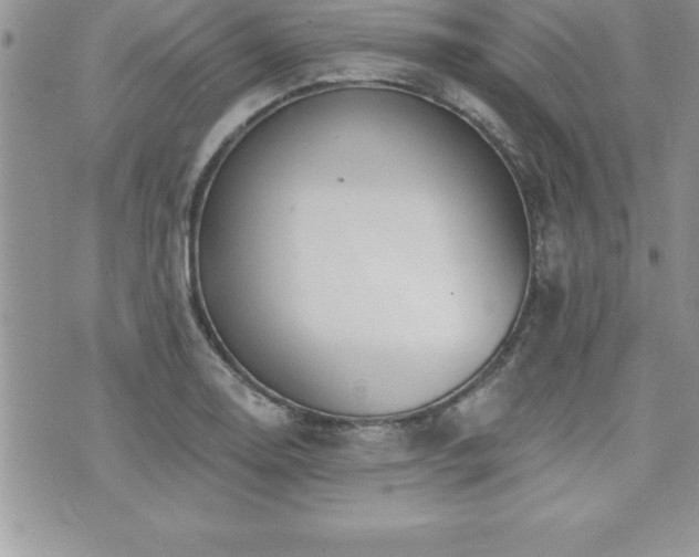 X0000071961130200607071446