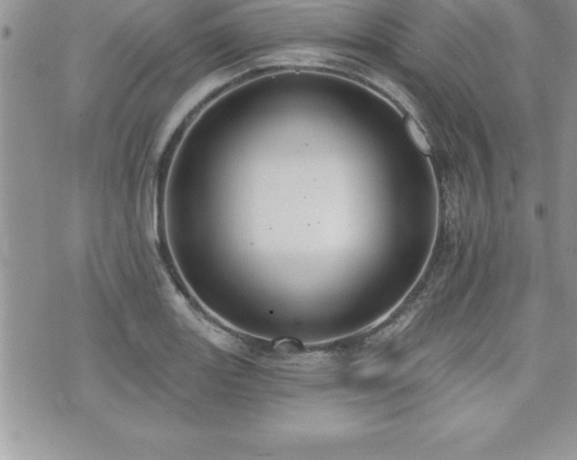 X0000071961131200607071446