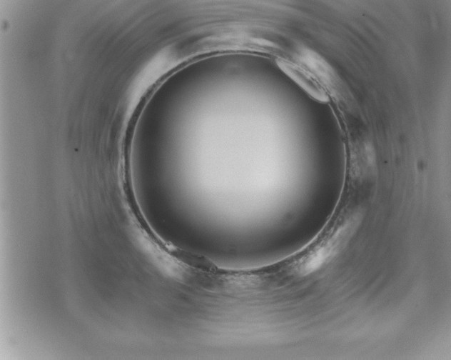 X0000071961136200607071446