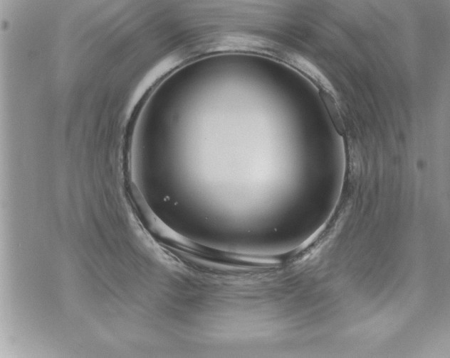 X0000071961138200607071446