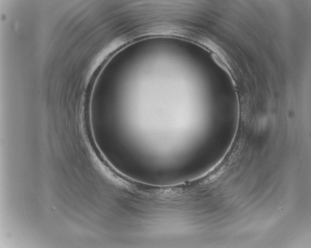 X0000071961139200607071446