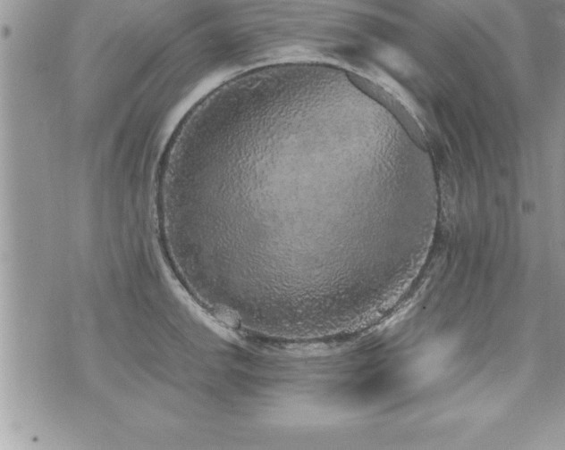 X0000071961142200607071446