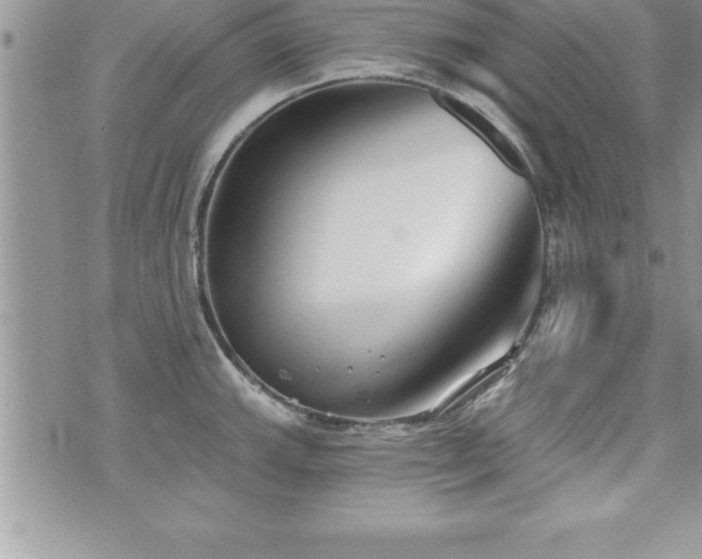 X0000071961143200607071446