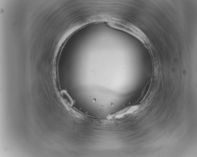 X0000071961144200607071446