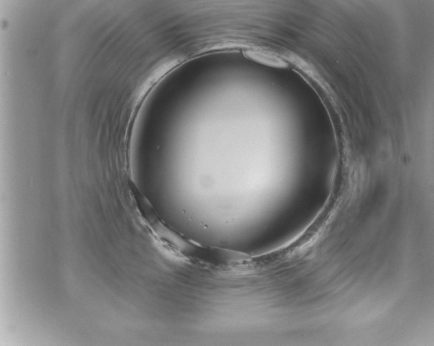 X0000071961145200607071446