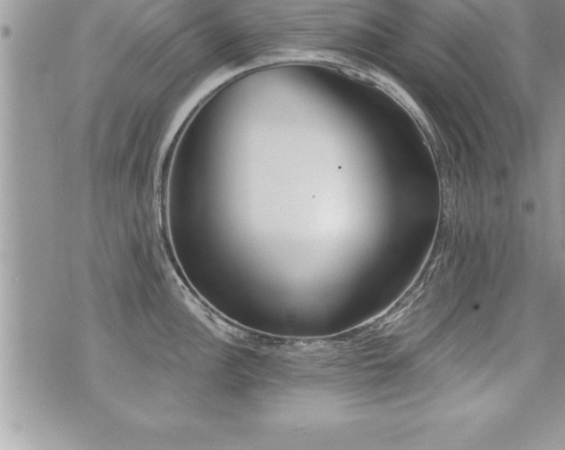 X0000071961148200607071446