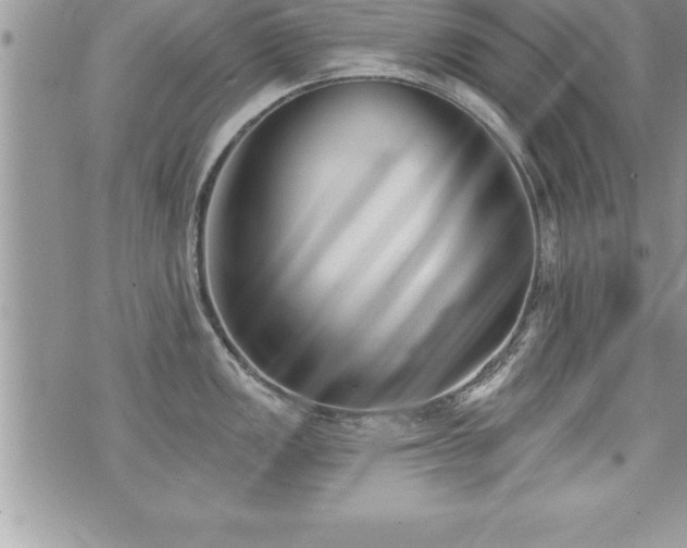 X0000071961149200607071446