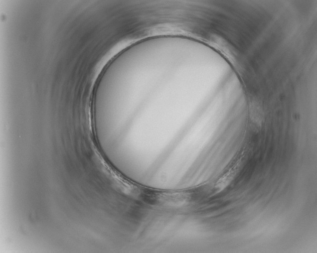 X0000071961150200607071446