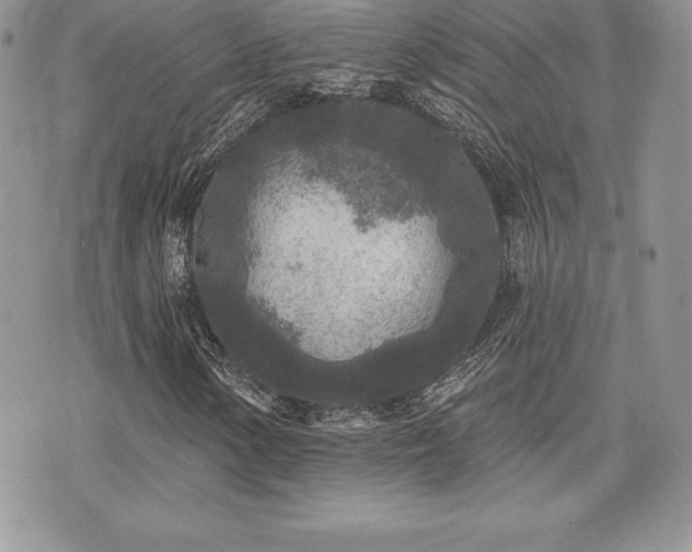 X0000071961154200607071445