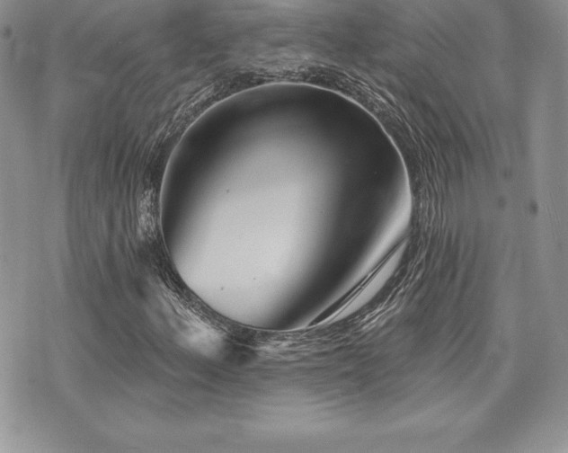 X0000071961156200607071445