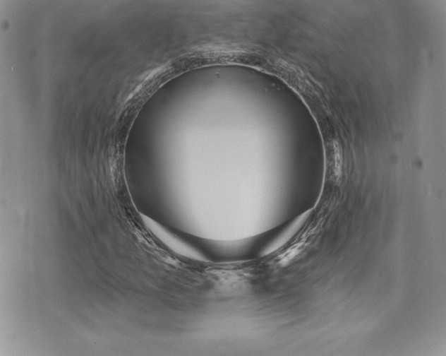 X0000071961157200607071445
