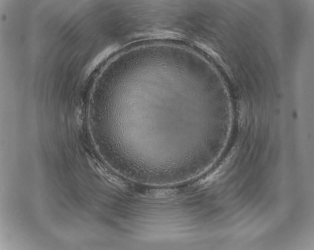 X0000071961163200607071445