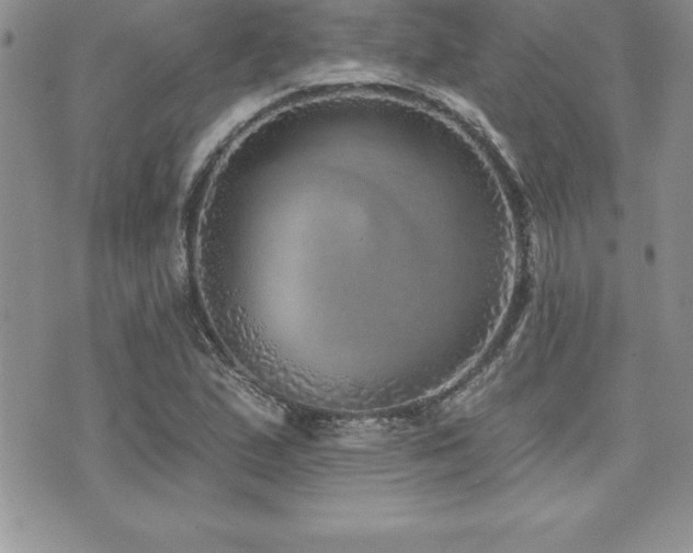 X0000071961167200607071445