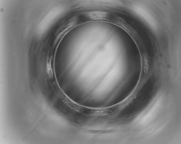 X0000071961198200607071445