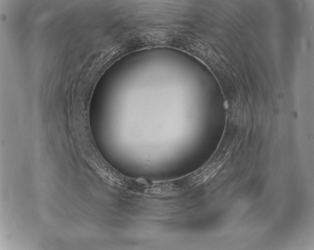 X0000071961201200607071444