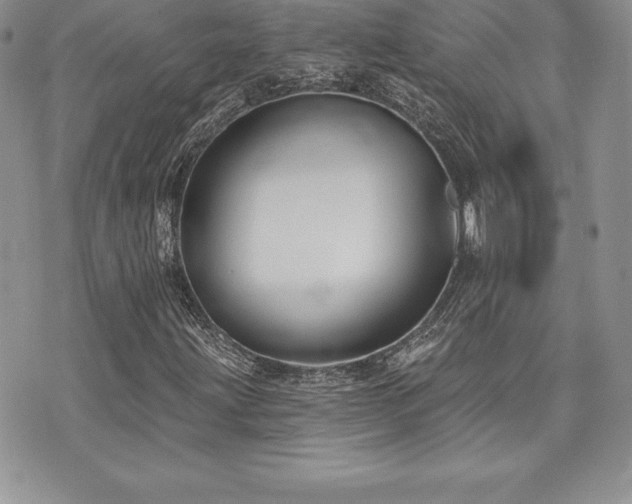 X0000071961203200607071444