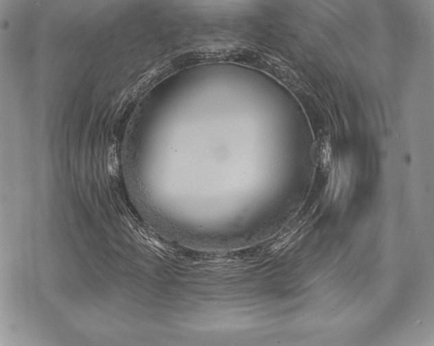 X0000071961204200607071444