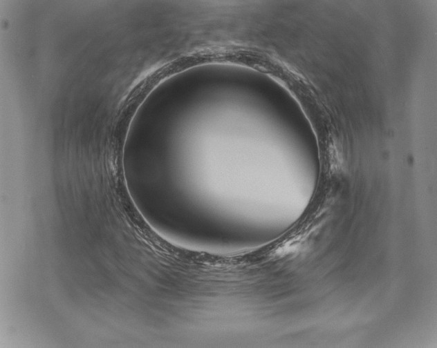X0000071961206200607071444