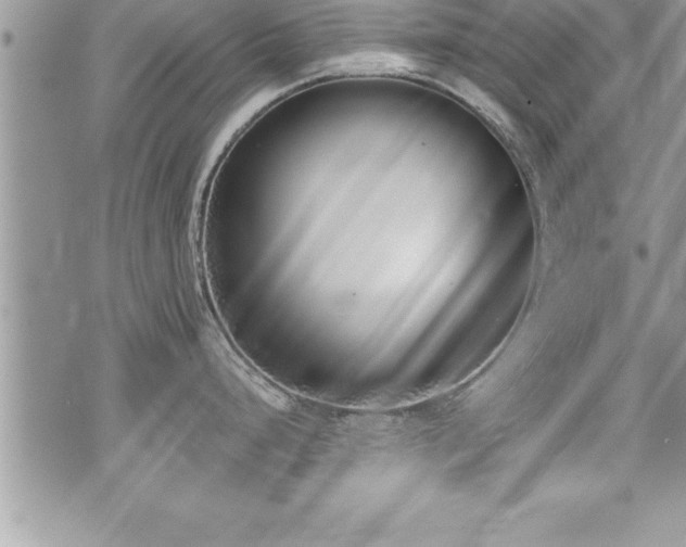 X0000071961248200607071445