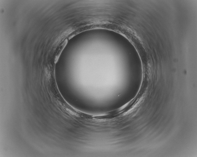 X0000071961257200607071444