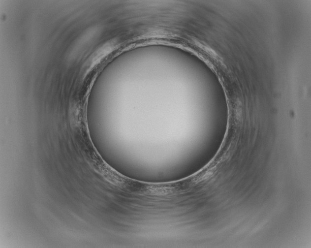 X0000071961258200607071444