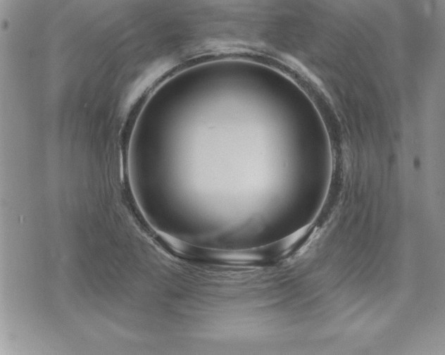 X0000071961269200607071443