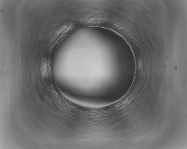 X0000071961300200607071442