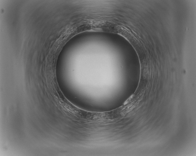 X0000071961345200607071442