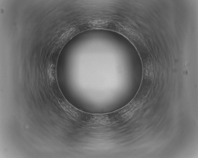 X0000071961346200607071442