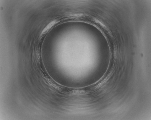 X0000071961354200607071442